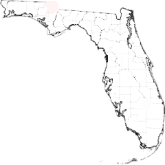 >Florida
